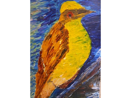 Yellow Dove